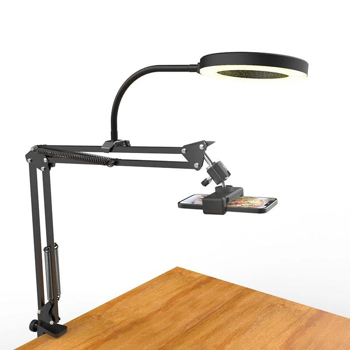 Adjustable Overhead Phone Mount with Ring Light for Live Streaming and Recording - Monsta Online