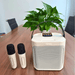 Portable High - Power Karaoke Party Speaker with 360° Stereo and Dual Mics - Monsta Online