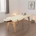Pro - Grade Folding Massage Table with Adjustable Headrest and Arm Supports - Monsta Online