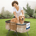 Foldable Dog Grooming Bath Tub with Quick Drain and Leash Safety Strap - Monsta Online