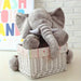 Ultra - Soft Large Plush Elephant Cuddle Pillow for Kids and Loved Ones - Monsta Online