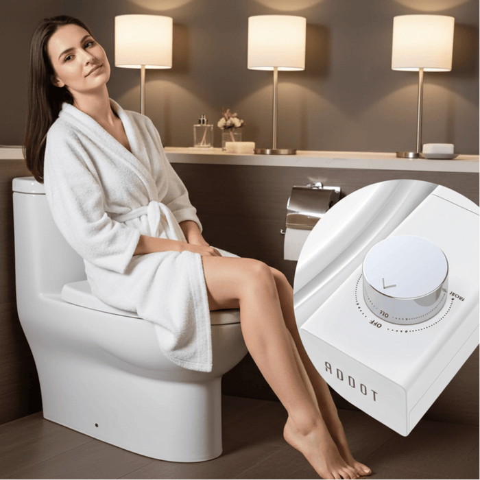 Dual Nozzle Bidet Attachment with Left and Right Convertible Spray Control - Monsta Online