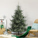 6FT Wide Artificial Christmas Tree — 795 Tips, Unlit, Auto - Open, Easy - Shape Branches, Steel Base - Monsta Online