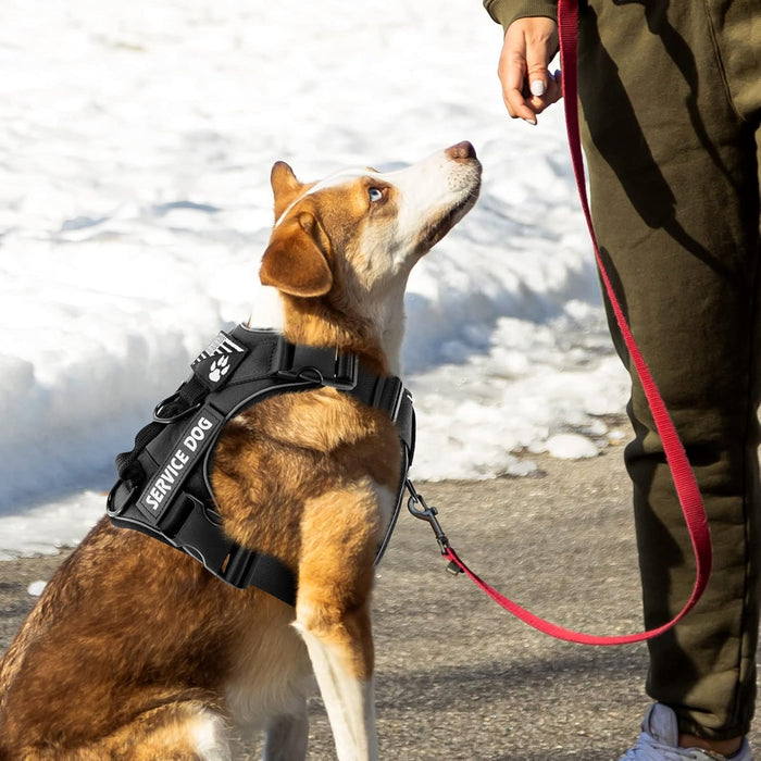 Ultimate No - Pull Dog Harness With Reflective Vest and Breathable Mesh Lining - Monsta Online