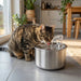 Stainless Steel Cat Water Fountain – Motion Sensor & 4 - Layer Filter for Cats & Dogs - Monsta Online