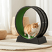 35" Cat Exercise Running Wheel for Healthy Play Indoors - Monsta Online