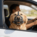 SecureFit Dog Muzzle – Breathable Soft Mesh, Adjustable Fit for All Breeds - Monsta Online