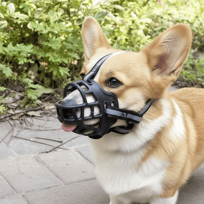 SecureFit Dog Muzzle – Breathable Soft Mesh, Adjustable Fit for All Breeds - Monsta Online