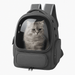 Breathable Transparent Cat Carrier Backpack for Safe and Comfortable Adventures - Monsta Online