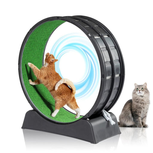 35" Cat Exercise Running Wheel for Healthy Play Indoors - Monsta Online