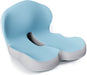 Ergonomic Seat Cushion with Lumbar Support – Memory Foam Posture Cushion for Office, Car & Travel - Monsta Online