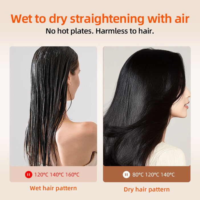 2 - in - 1 Hair Dryer & Straightener – Frizz - Free Salon - Quality Blowout for All Hair Types - Monsta Online