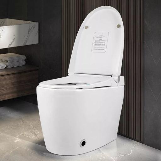 High - End Smart Toilet with Heated Seat and Foot Sensor Flush - Monsta Online