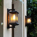 Pavo Outdoor Wall Light – Weather - Resistant Lantern Sconce for Entryway, Patio & Garden - Monsta Online