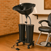 Portable Salon Shampoo Bowl with Electric Pump and Dual Spray Heads - Monsta Online