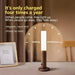 Detachable Magnetic Motion Sensor Wall Light with Rechargeable Battery - Monsta Online