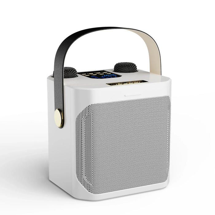 Portable High - Power Karaoke Party Speaker with 360° Stereo and Dual Mics - Monsta Online