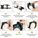 Ultimate No - Pull Dog Harness With Reflective Vest and Breathable Mesh Lining - Monsta Online