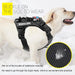Ultimate No - Pull Dog Harness With Reflective Vest and Breathable Mesh Lining - Monsta Online
