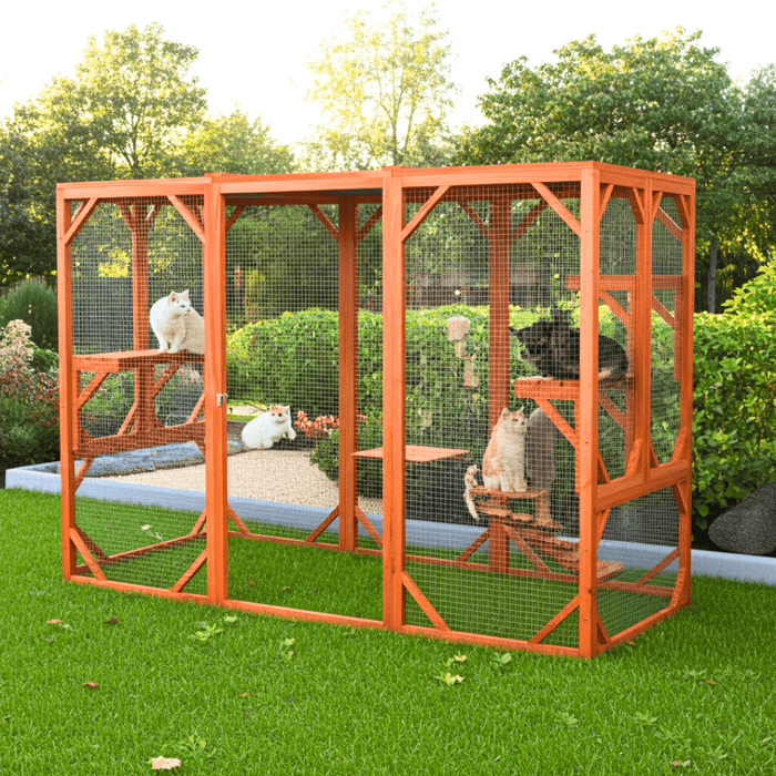 Large Wooden Catio Outdoor Cat Enclosure for Multiple Cats and Playtime Freedom - Monsta Online