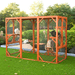 Large Wooden Catio Outdoor Cat Enclosure for Multiple Cats and Playtime Freedom - Monsta Online
