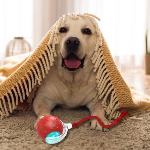 ChewRoll Interactive Rolling Ball Dog Toy – Durable, Engaging & Anxiety - Relieving for All Dog Sizes - Monsta Online