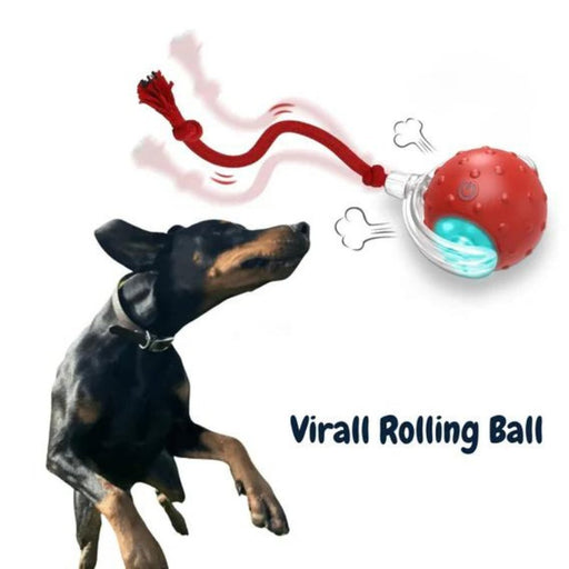 ChewRoll Interactive Rolling Ball Dog Toy – Durable, Engaging & Anxiety - Relieving for All Dog Sizes - Monsta Online