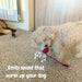 ChewRoll Interactive Rolling Ball Dog Toy – Durable, Engaging & Anxiety - Relieving for All Dog Sizes - Monsta Online