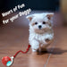 ChewRoll Interactive Rolling Ball Dog Toy – Durable, Engaging & Anxiety - Relieving for All Dog Sizes - Monsta Online