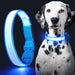 Solar and USB Rechargeable LED Dog Collar Waterproof Light Up for Night Safety - Monsta Online