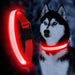Solar and USB Rechargeable LED Dog Collar Waterproof Light Up for Night Safety - Monsta Online