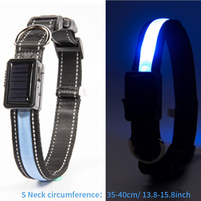 Solar and USB Rechargeable LED Dog Collar Waterproof Light Up for Night Safety - Monsta Online