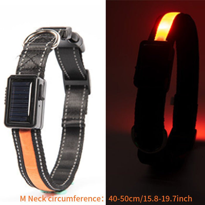 Solar and USB Rechargeable LED Dog Collar Waterproof Light Up for Night Safety - Monsta Online