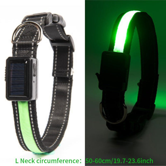 Solar and USB Rechargeable LED Dog Collar Waterproof Light Up for Night Safety - Monsta Online