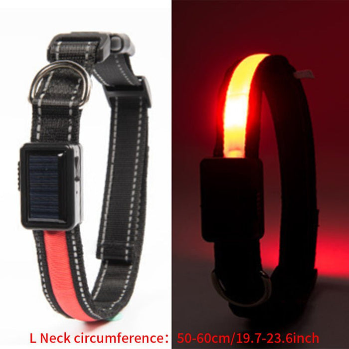 Solar and USB Rechargeable LED Dog Collar Waterproof Light Up for Night Safety - Monsta Online
