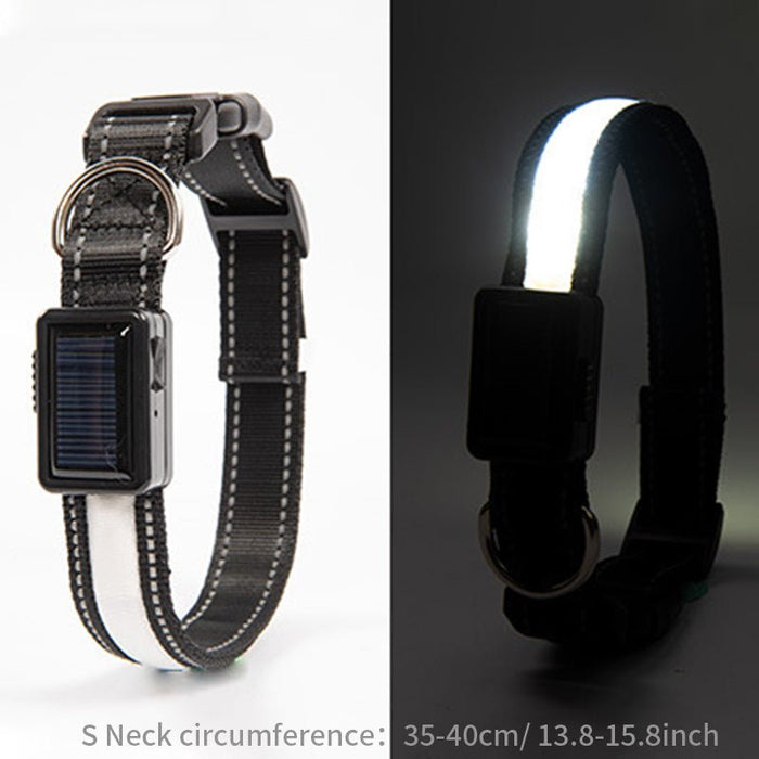 Solar and USB Rechargeable LED Dog Collar Waterproof Light Up for Night Safety - Monsta Online