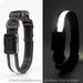 Solar and USB Rechargeable LED Dog Collar Waterproof Light Up for Night Safety - Monsta Online