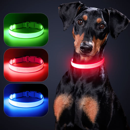 Solar and USB Rechargeable LED Dog Collar Waterproof Light Up for Night Safety - Monsta Online