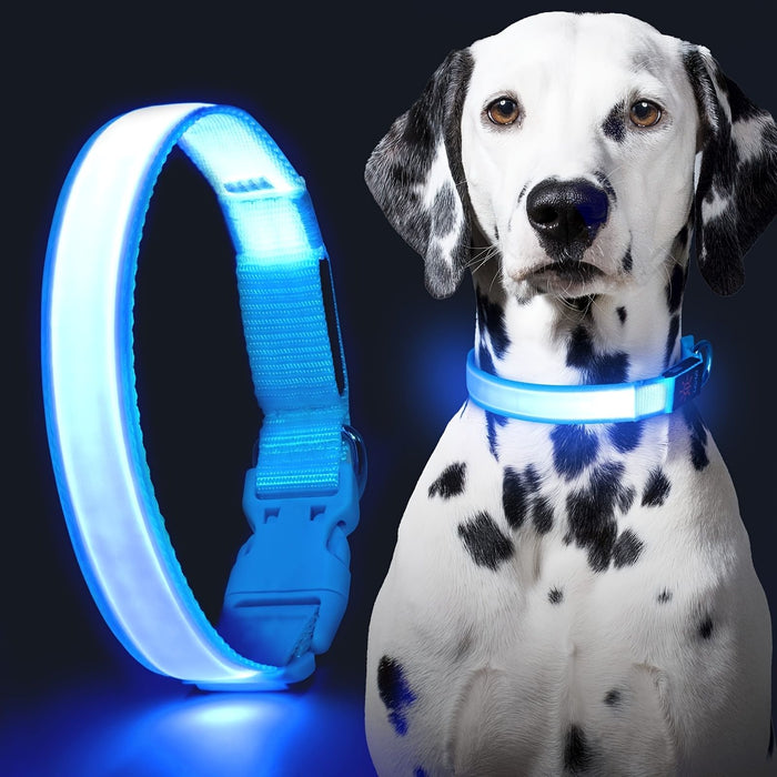 Solar and USB Rechargeable LED Dog Collar Waterproof Light Up for Night Safety - Monsta Online