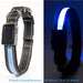 Solar and USB Rechargeable LED Dog Collar Waterproof Light Up for Night Safety - Monsta Online
