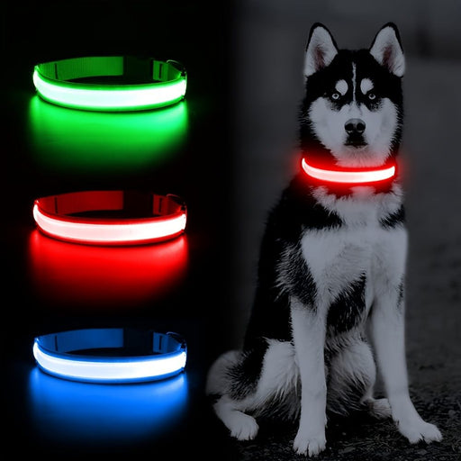 Solar and USB Rechargeable LED Dog Collar Waterproof Light Up for Night Safety - Monsta Online