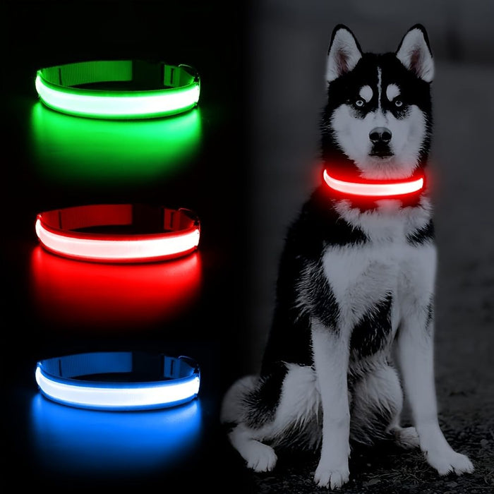 Solar and USB Rechargeable LED Dog Collar Waterproof Light Up for Night Safety - Monsta Online