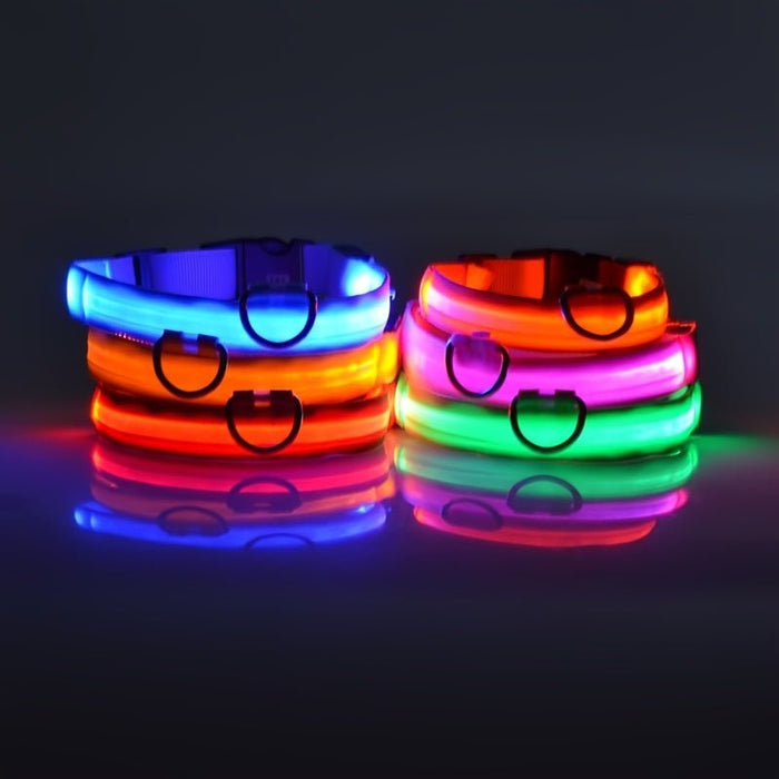 Waterproof LED Dog Collar USB Rechargeable Night Safety Pet Collar - Monsta Online