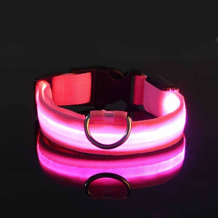 Waterproof LED Dog Collar USB Rechargeable Night Safety Pet Collar - Monsta Online
