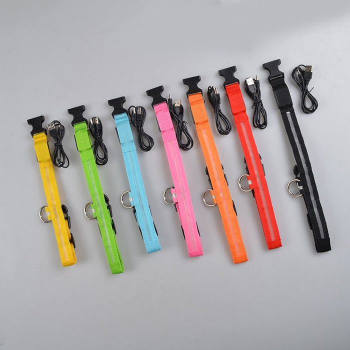 Waterproof LED Dog Collar USB Rechargeable Night Safety Pet Collar - Monsta Online