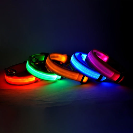 Waterproof LED Dog Collar USB Rechargeable Night Safety Pet Collar - Monsta Online