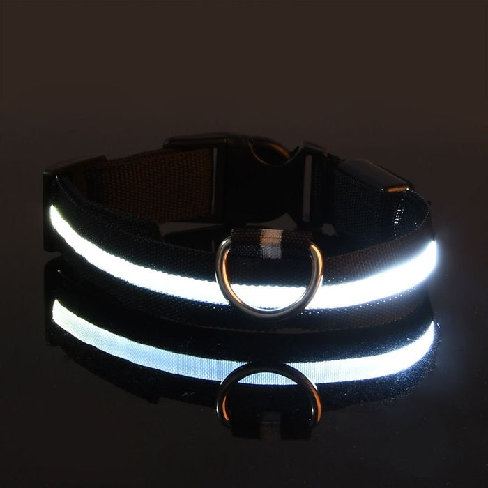 Waterproof LED Dog Collar USB Rechargeable Night Safety Pet Collar - Monsta Online