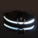 Waterproof LED Dog Collar USB Rechargeable Night Safety Pet Collar - Monsta Online