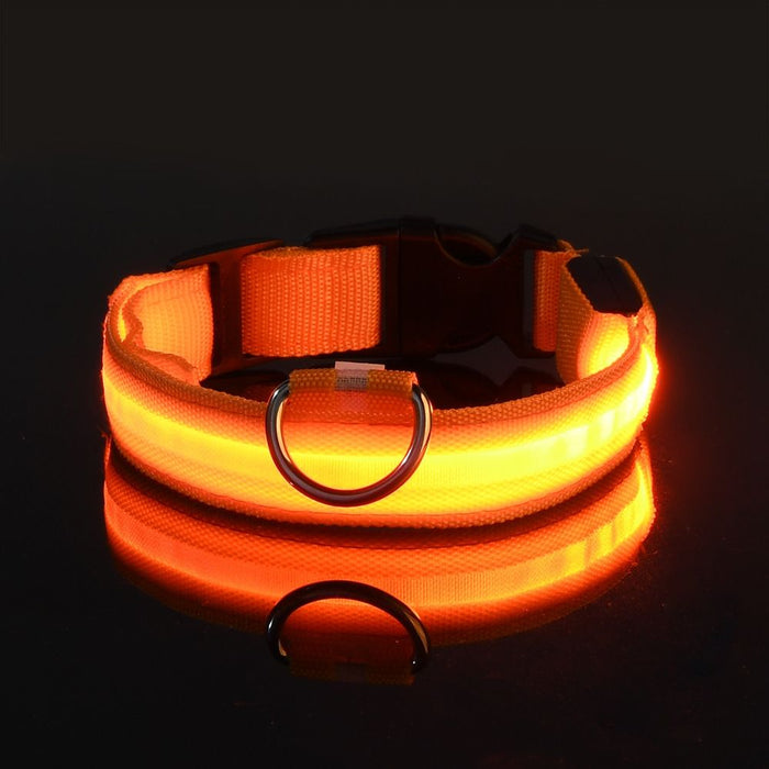 Waterproof LED Dog Collar USB Rechargeable Night Safety Pet Collar - Monsta Online