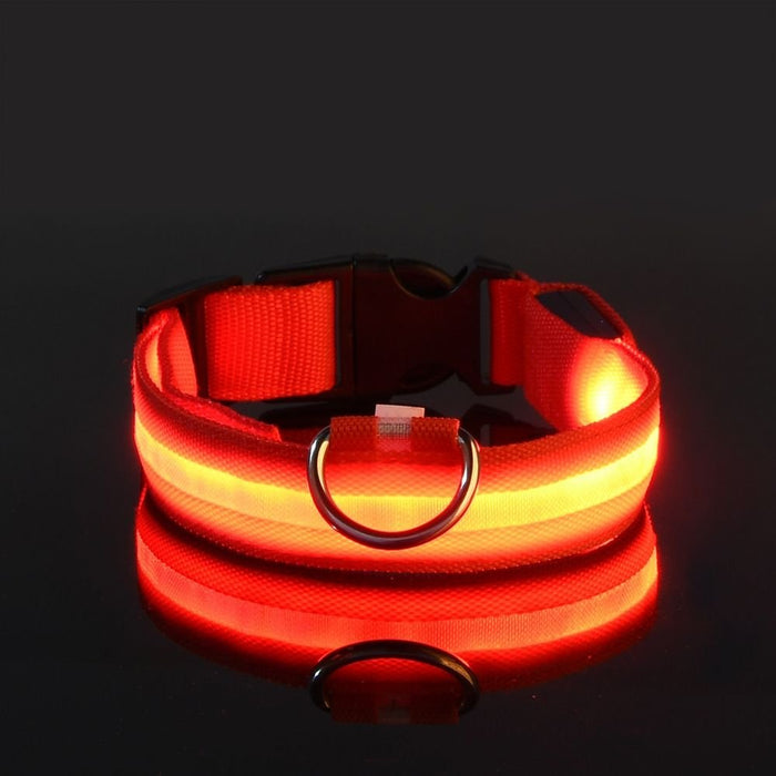 Waterproof LED Dog Collar USB Rechargeable Night Safety Pet Collar - Monsta Online
